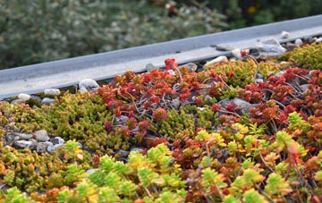 the cost of Bryndu green roof installation